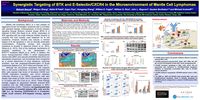 2019 ASH Poster - Synergistic Targeting of BTK and E-Selectin/CXCR4 in the Microenvironment of Mantle Cell Lymphomas