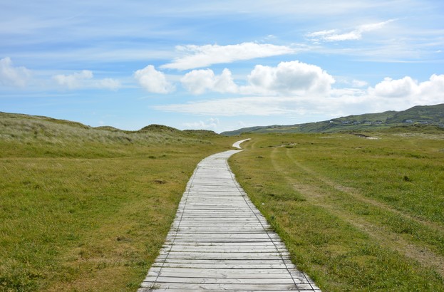 The Benefits of Nature for Your Mental Health