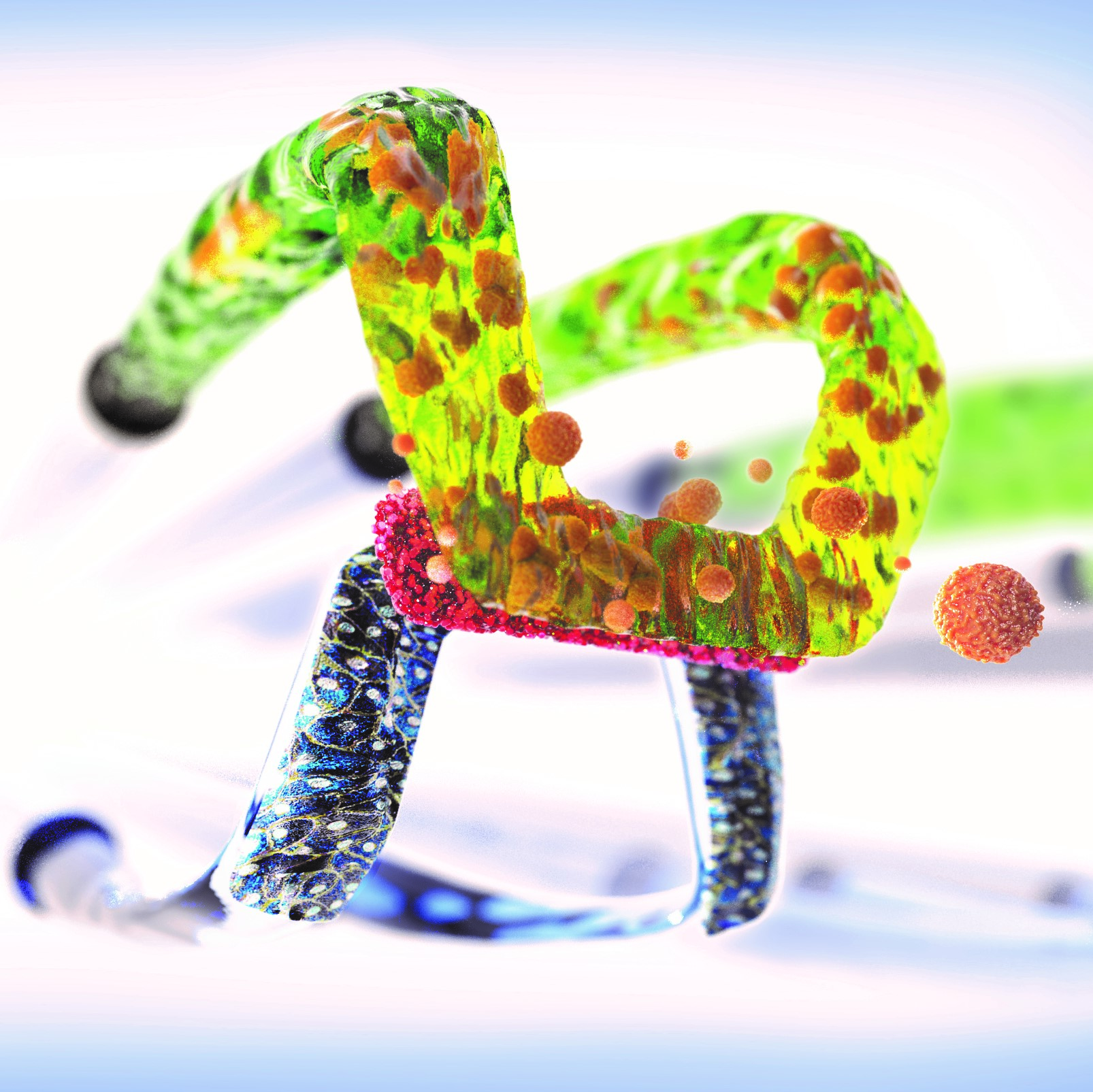 Draper demonstrates that its high-throughput, hemodynamically relevant microphysiological system (PREDICT96) can support continuous recirculation of human neutrophils through vascular tissue with high viability and low activation for up to 24 hours.