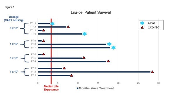 Figure 1. Swimmer plot summarizing patient survival following treatment with lira-cel in Anixa’s ongoing Phase 1 clinical trial in recurrent ovarian cancer.