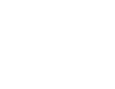 American DG Energy