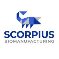 SCORPIUS HOLDINGS INC