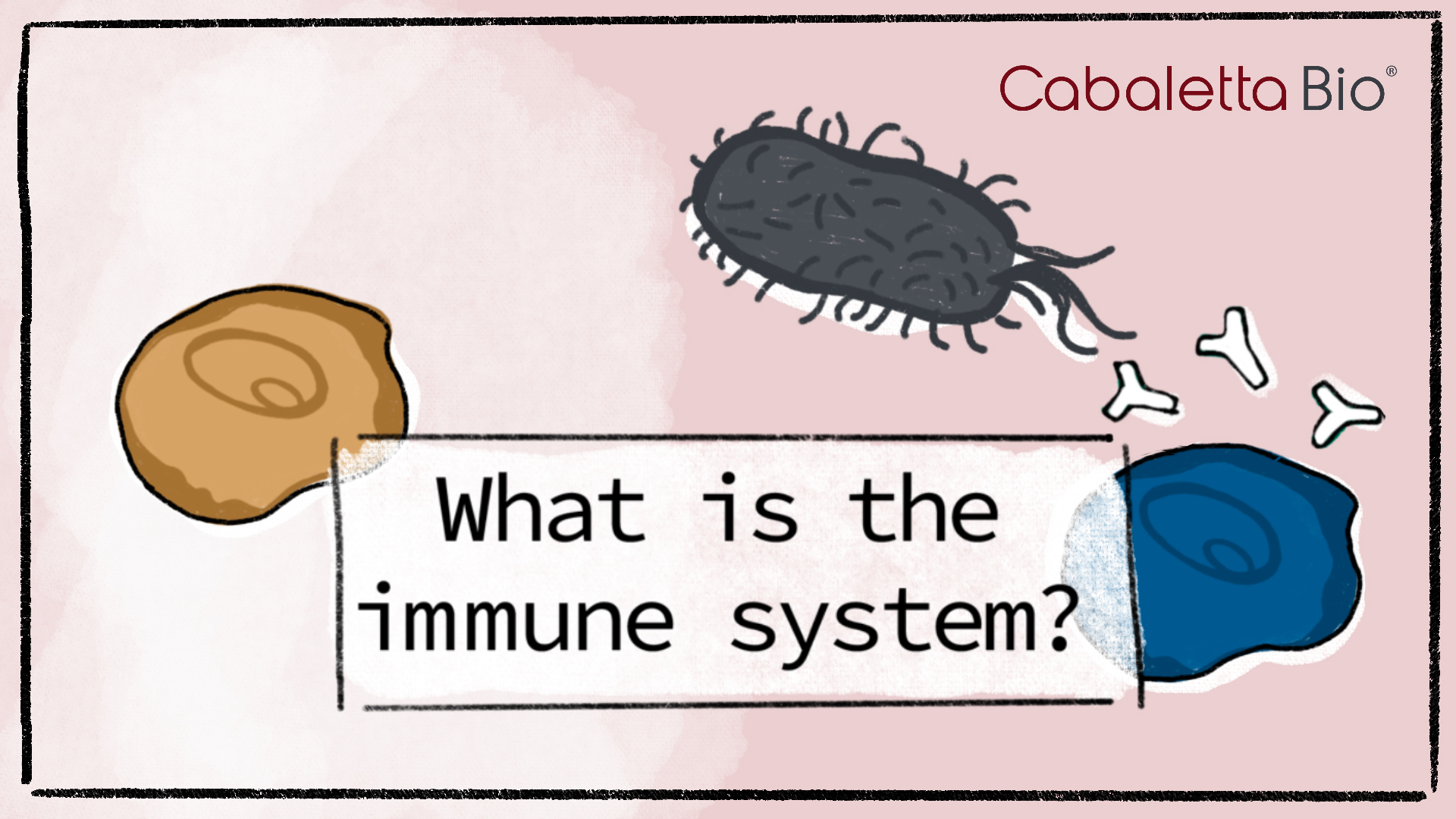 Cabaletta Bio Animation CH2