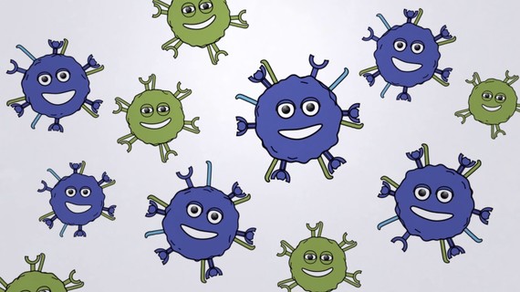 ADP-A2M4CD8 Mechanism of Action (Next-generation SPEAR T-cell)