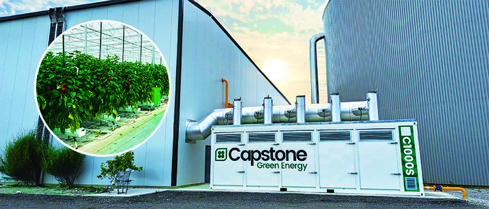 CHP Helps Greenhouses Grow Better, Save Money, and Reduce Emissions