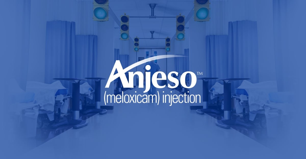 24Hour Efficacy Anjeso