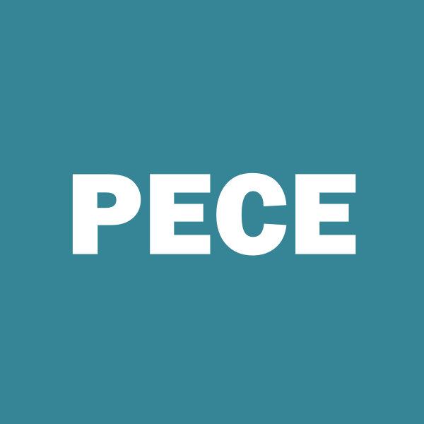 PEACE ACQUISITION CORP