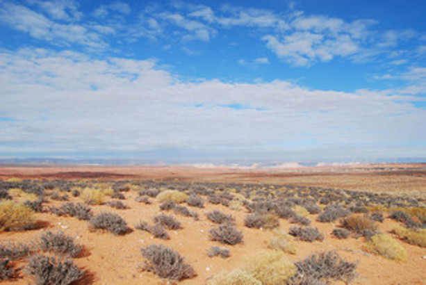 Manufacturing in the Summer: The High Costs of Heat