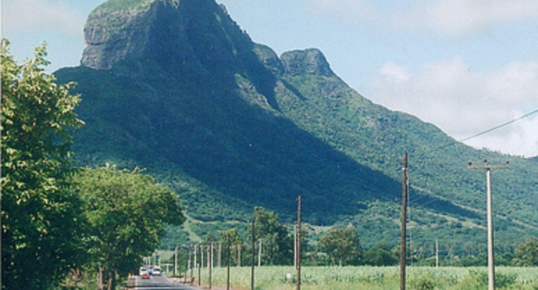 Why Your 5 Year Plan Matters in Job Interviews