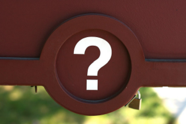 You’ve Been Fired, Now What?