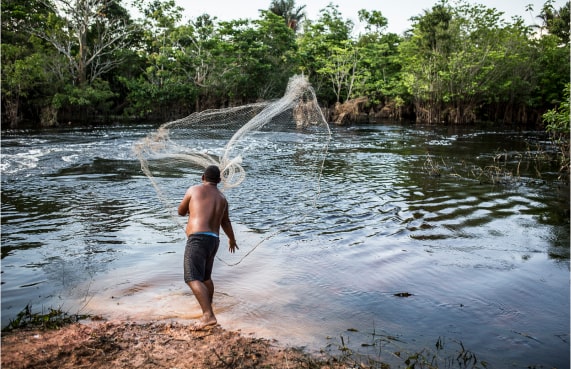 Brazil Potash Corp. (GRO) visual data 7