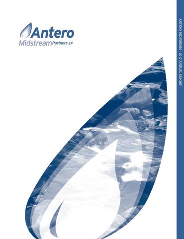 2017 Annual Report