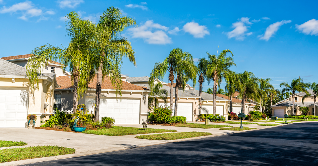 Row of houses with palm trees