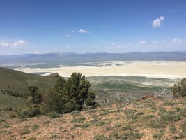 An image thumbnail for the following media post.