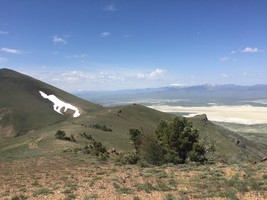 An image thumbnail for the following media post.