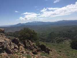 An image thumbnail for the following media post.