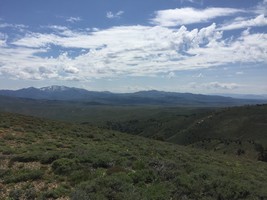 An image thumbnail for the following media post.