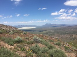 An image thumbnail for the following media post.