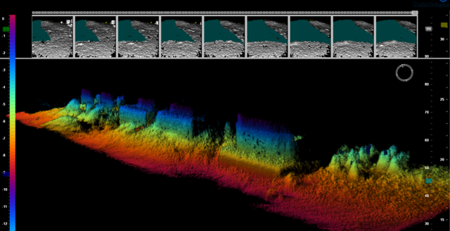 Content for Critical Asset Inspection page