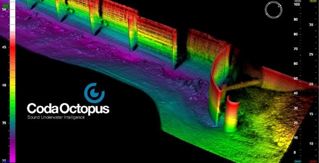 Content for Critical Asset Inspection page