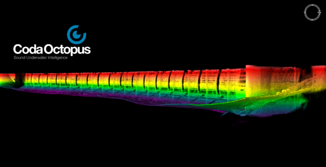 Content for Critical Asset Inspection page