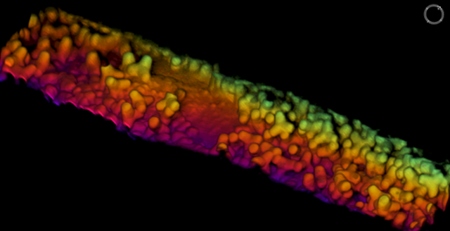 Content for Breakwater Construction and Management page