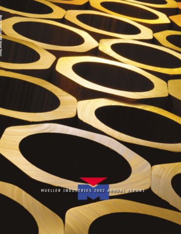 2002 Annual Report