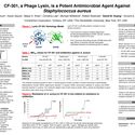 CF-301, a Phage Lysin, is a Potent Antimicrobial Agent Against Staphylococcus aureus