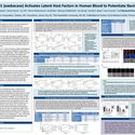 Lysin CF-301 Activates Latent Host Factors in Human Blood to Potentiate Bacteriolysis