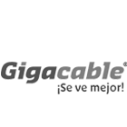 Giga cable