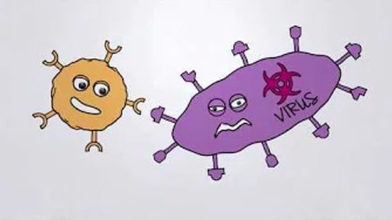 How Our SPEAR T-Cells Work