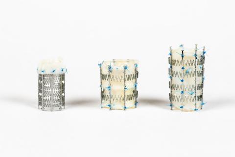 Draper is working with Boston Children’s Hospital and Seattle Children's Hospital to conduct a preclinical study of the company’s heart valve stent. Credit: Draper.