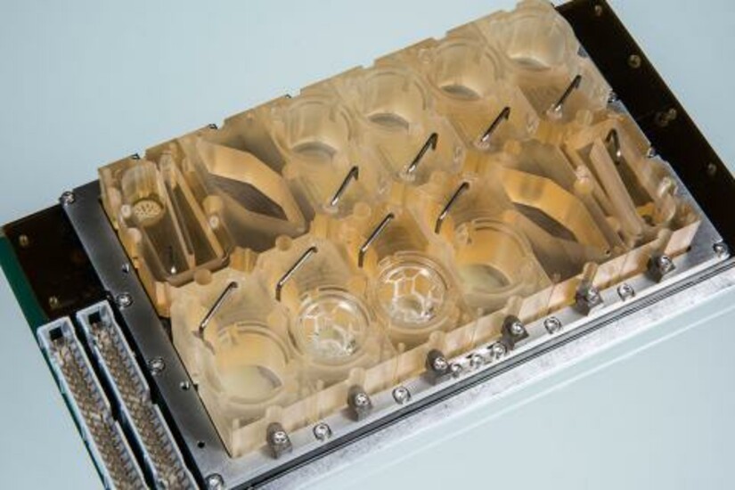 Draper's Human Organ System technology