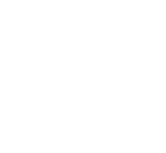 VF Solutions logo