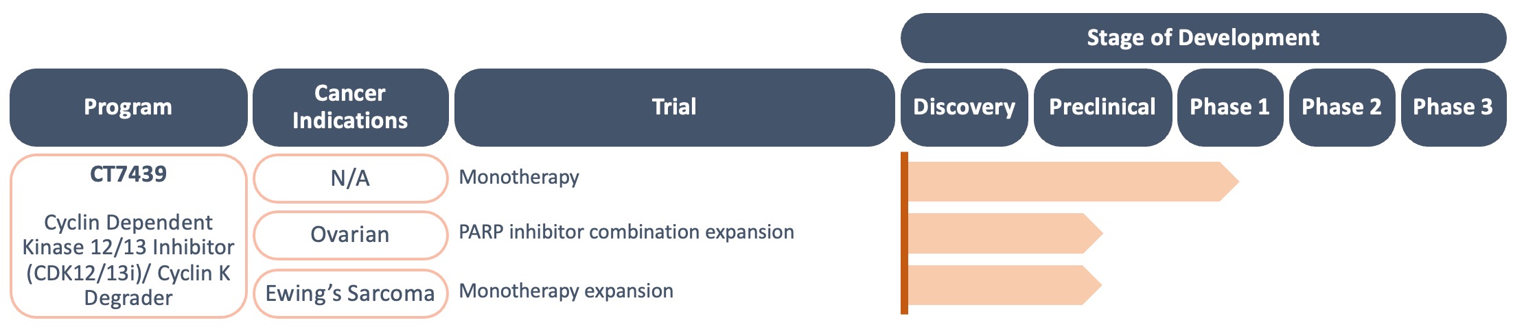 Pipeline image showing CT7439 - Cyclin Dependent Kinase 12/13 Inhibitor (CDK12/13i)/ Cyclin K Degrader