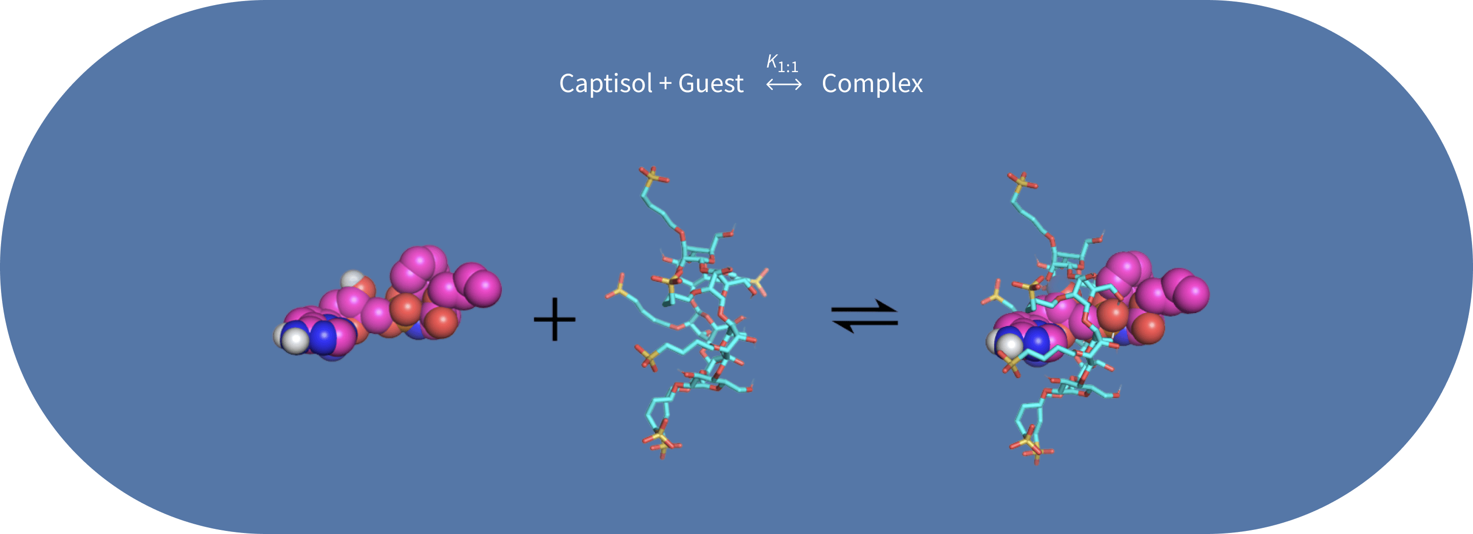 Mathematical equation depicting Captisol plus Guest equals K1:1 Complex.