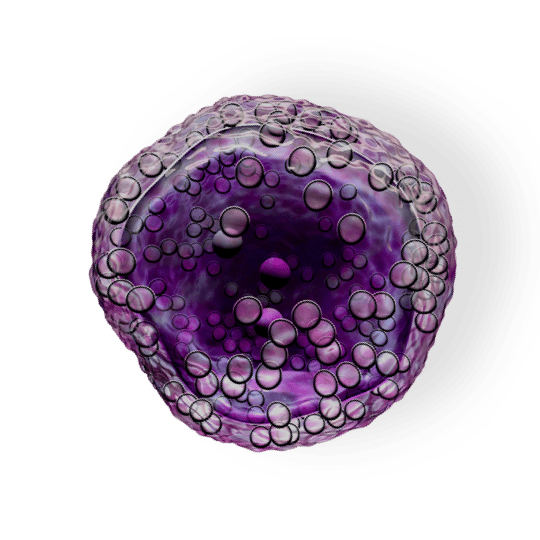 Luxeptinib for B-cell Tumors