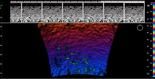 Content for Fisheries page
