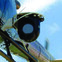 Close-up of a surveillance camera mounted on a helicopter against a clear blue sky.