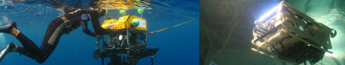 Remotely Operated Vehicle (ROV)