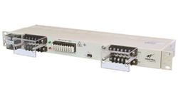 NPGMT1122