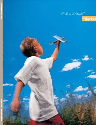 2002 Annual Report