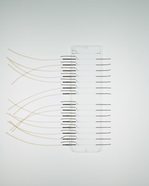 A new device allows scientists to test cancer therapies directly on tumor tissue, broadening R&D efforts largely limited to animal testing. Credit: Draper