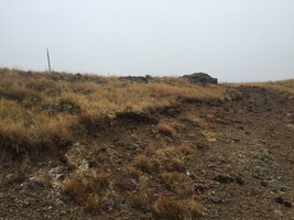 An image thumbnail for the following media post.