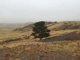 An image thumbnail for the following media post.