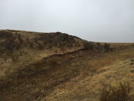 An image thumbnail for the following media post.