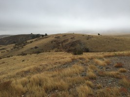 An image thumbnail for the following media post.