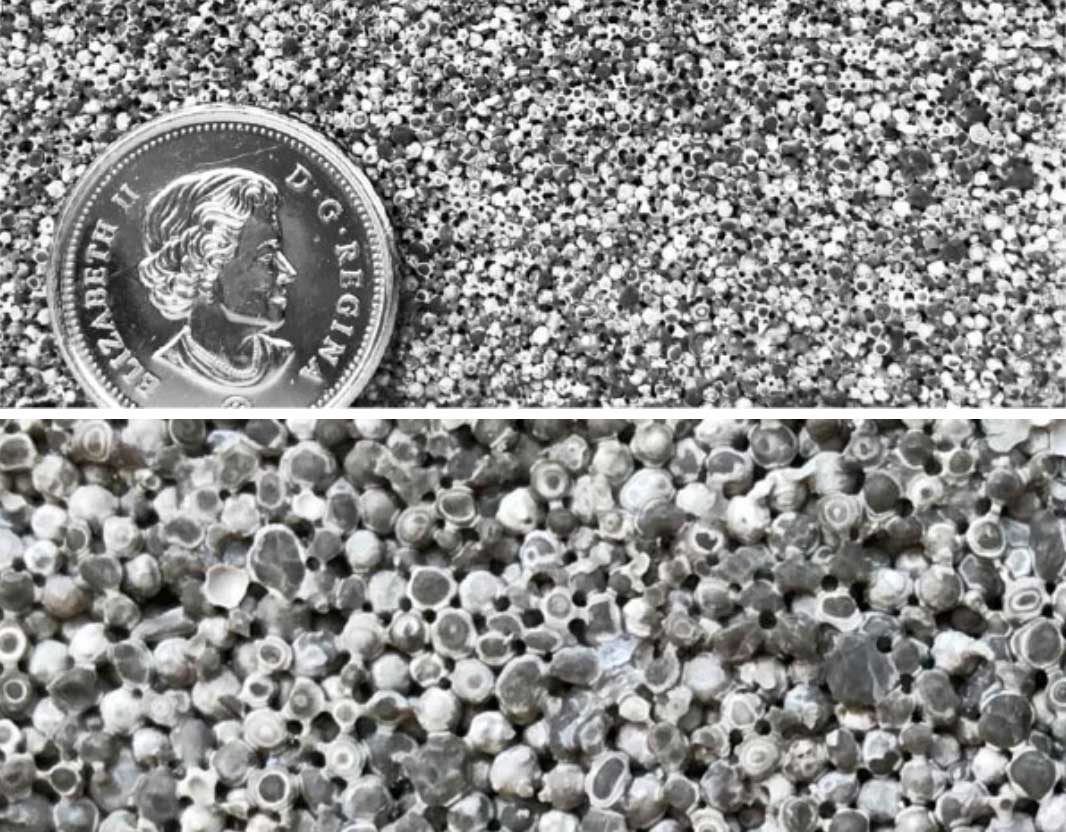 Arkansas Smackover Standard Lithium Ltd. (SLL)