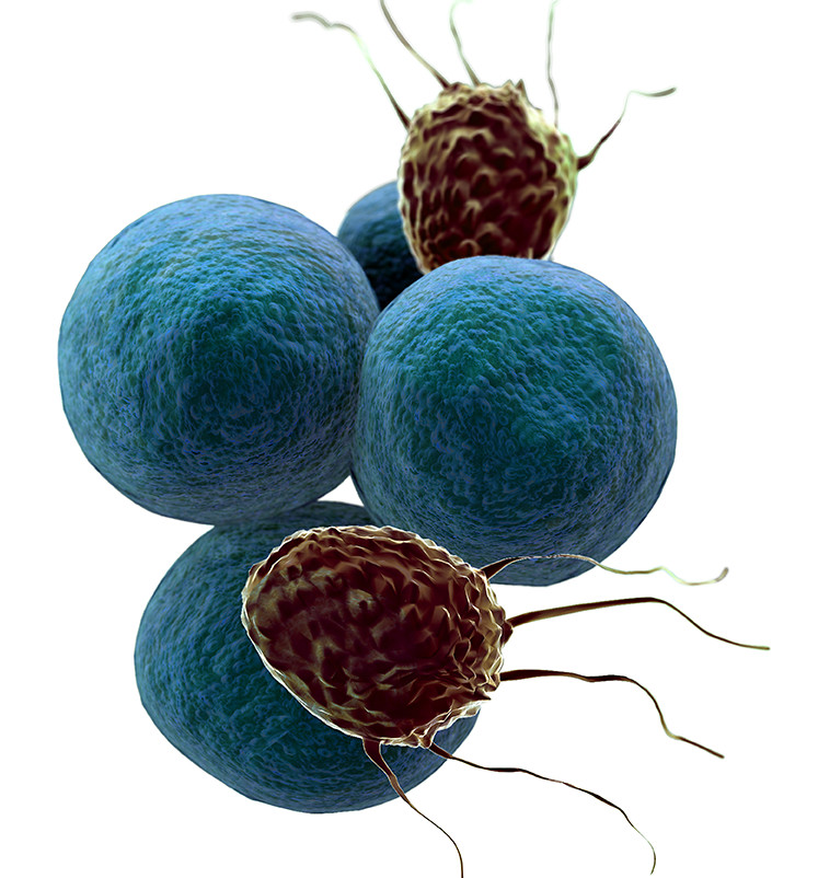 Treatments that Inhibit Tumor Growth and Metastasis