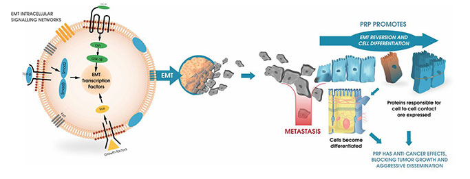 Our Technology: A Unique Mode of Action